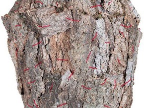 mostra Tarshito. Vasi - L'ascolto - Tarshito