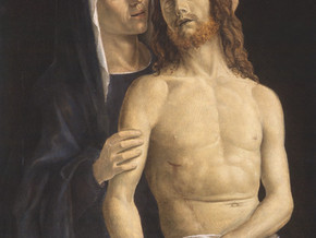 immagine di Museum Palace at Wilanow