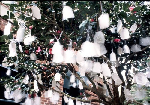 Yoko Ono, Wish Tree, 1996, veduta dell’installazione, Anderson Gallery, Richmond, Virginia, 1996
