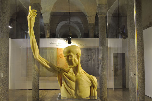 Scultura in ceroplastica, busto con braccio alzato, ideazione Paola Salvi, realizzazione Moreno Vezzoli