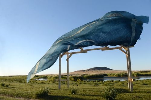 Lisa Batacchi, Land Art, Mongolia Biennale, Installazione site specific e performance