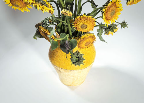 Bertozzi & Casoni, Per Van Gogh, 2020, ceramica policroma, cm. h. 76 x 66 x 46. Courtesy dell’artista I Photo Nazario Spadoni
