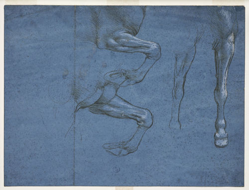 Leonardo da Vinci, <em>Studio della muscolatura degli arti anteriori del cavallo</em>, ca. 1490. Torino, Musei Reali, Biblioteca Reale