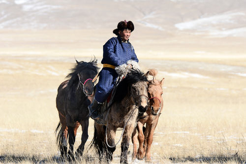 Carla Parato Milone e Giorgio Milone, Cavallo nella prateria, Mongolia