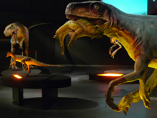 Herrerasaurus ischigualastensis