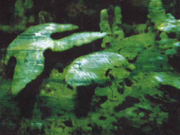 Giovanni Frangi, Serie Underwater, Nokuku II , 2007 cm 200x260