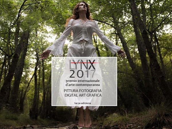 Premio Lynx 2017
