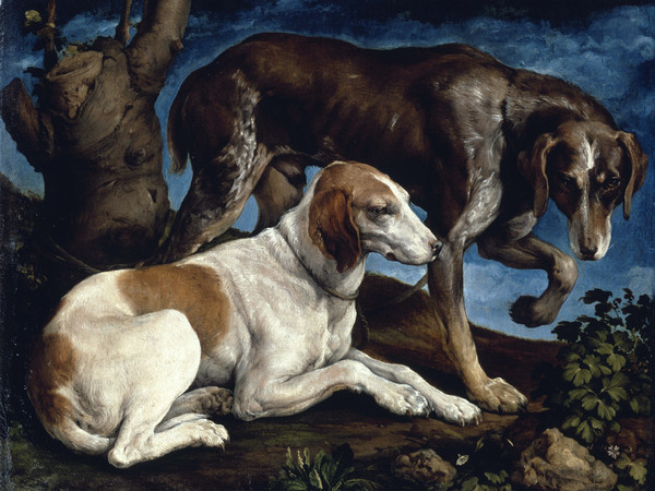 Jacopo Bassano (1510 - 1591), Due cani da caccia, 1548-1549, Olio su tela, 61 x 80 cm, Parigi, Museo del Louvre