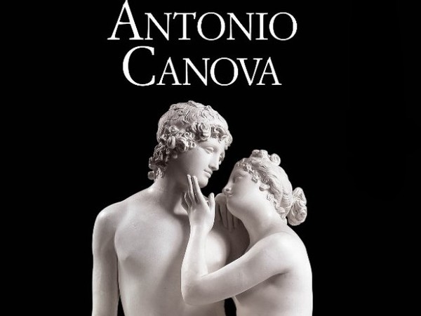 Antonio Canova e il Neoclassicismo a Lucca, Cavallerizza di Lucca