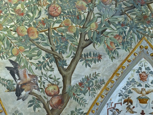 La Sala a Fogliami di Palazzo Grimani. Fonti iconografiche e letterarie per lo studio dei giardini botanici