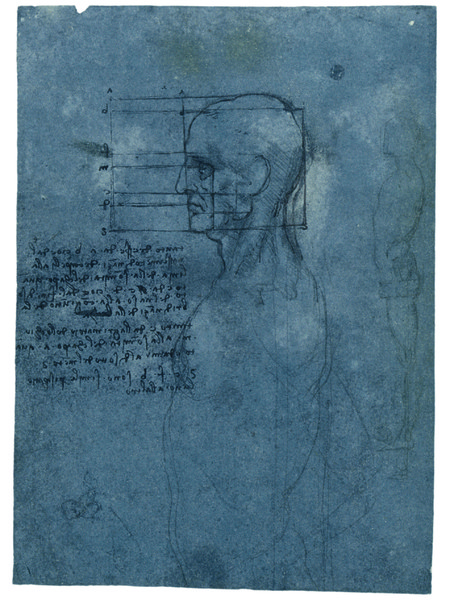 Leonardo da Vinci, Studio delle proporzioni della testa e della faccia, Royal Collection, Windsor