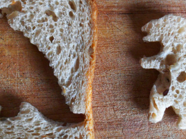 Barbara Fragogna, Study For A Dinosaur Clonation, Sliced bread, 2015