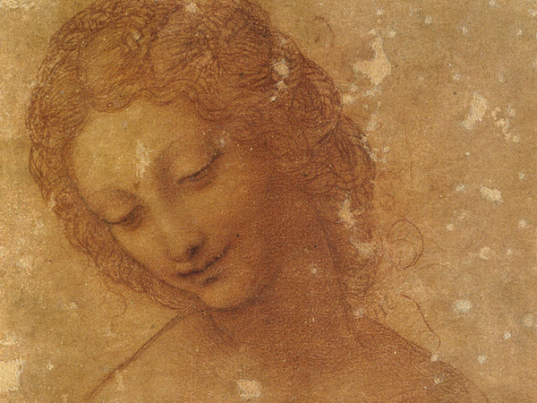 Leonardo da Vinci, Testa di Leda, 1510 circa, Castello Sforzesco