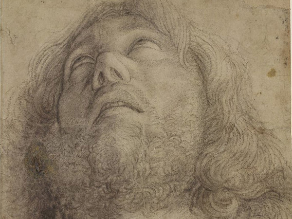 Giovanni Bellini, Testa di un uomo che guarda verso l’alto con i capelli lunghi e barba, 1450-1516. Carboncino su carta, 390x262 mm. British Museum, Londra