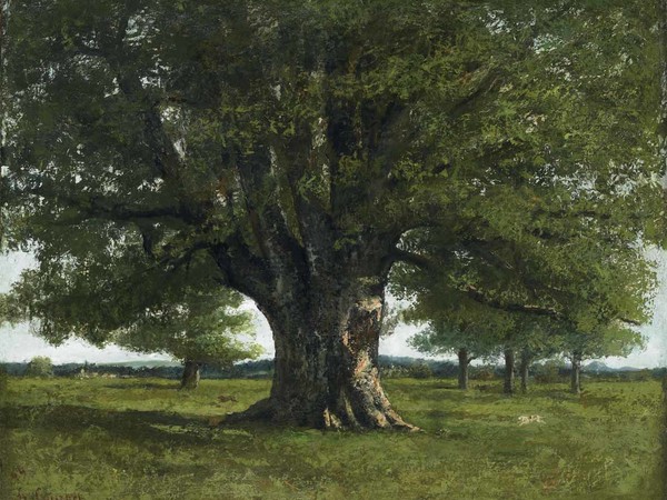 Gustave Courbet, La quercia di Flagey, 1864. Ornans, Musée Gustave Courbet Ornans Gustave Courbet, La quercia di Flagey, 1864. Ornans, Musée Gustave Courbet Ornans