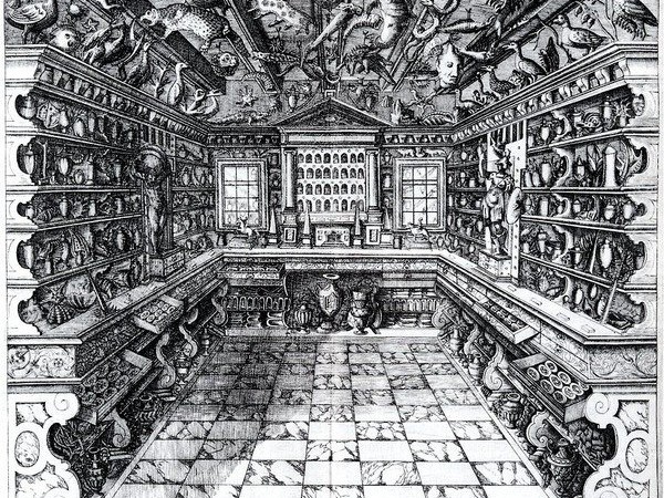 Darkkammer, Francesco Calzolari, Cabinet des curiosités, da Musaeum Calceolarium (Verona, 1622) 