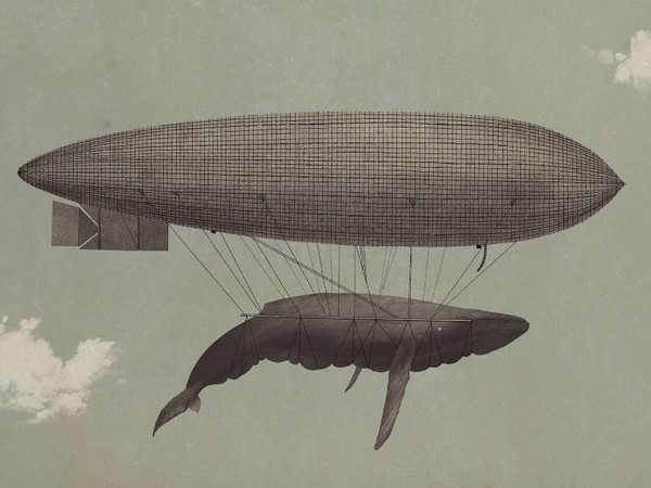 Page Tsou, Noah - Whale, cm. 80x50