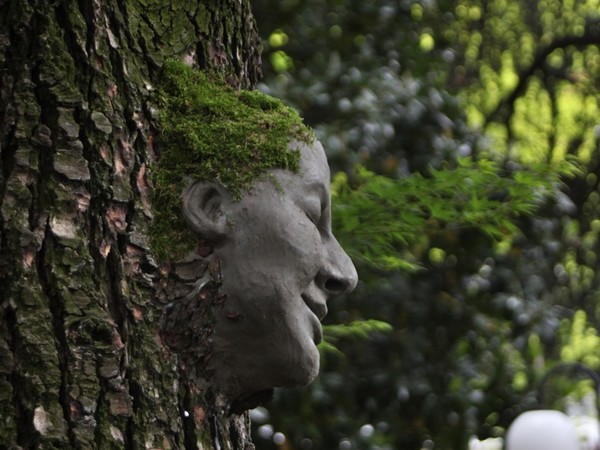 Elena Candeo, Scultura di fango su albero