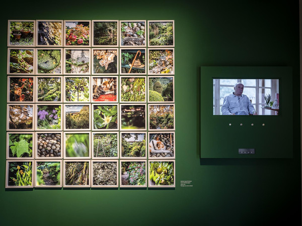 Oltre il giardino. L’abbecedario di Paolo Pejrone, Castello di Mirandolo