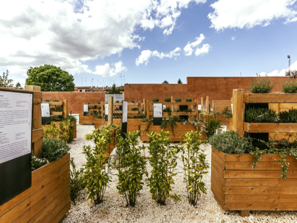 Giardino  delle domande, Museo Nazionale dell'Ebraismo Italiano e della Shoah - MEIS, Ferrara