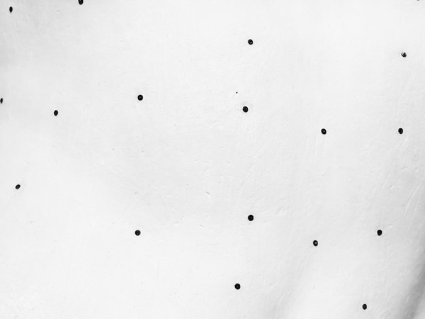 Marco Andrea Magni, Grain de beauté, 2016 / 2020, stampa photorag su carta Hahnemuehle montata su alluminio, inchiostro di galla Kosher, 29,7 x 42 cm.