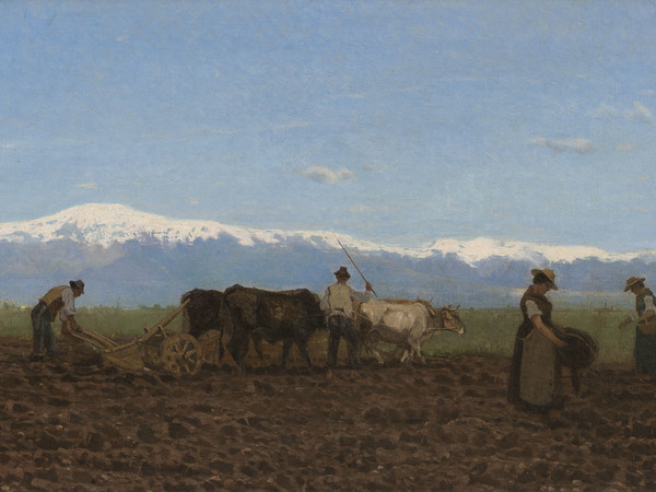 Giuseppe Ciardi, L’aratura (Il lavoro nei campi), 1872, olio su tela, 44x95 cm.