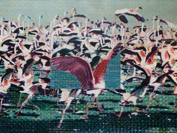 Claudio Cintoli, Flamingos, 1966-67