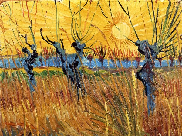 Vincent van Gogh, Salici potati al tramonto, 1888, Olio su tela applicata su cartone, 31.6 x 34.3 cm, Otterlo, Kröller-Müller Museum