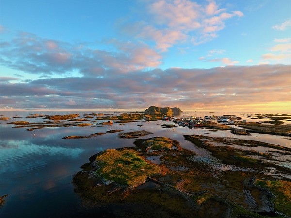 Isole Lofoten | Foto: Anders Rolandsen