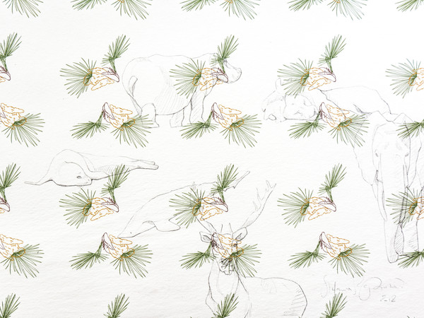 Stefania Migliorati, Sicilia, Serie Il giardino degli animali estinti, 2018. Pencil and Fine-Art Print on Handmade Paper, 42x60 cm. 