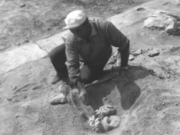 Roselle e la Maremma archeologica