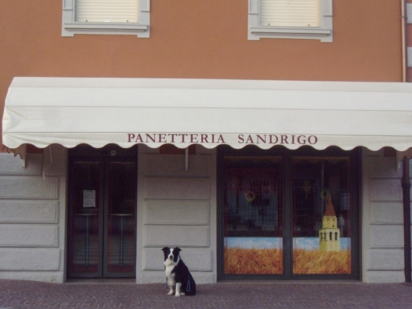 Panetteria Sandrigo