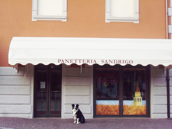 Panetteria Sandrigo