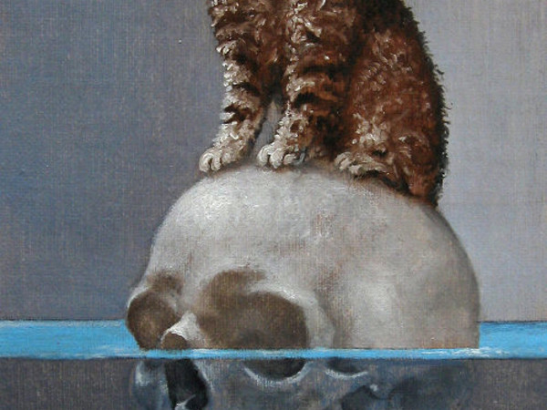 Feliscatus, Orfeo ed Euridice, 2002