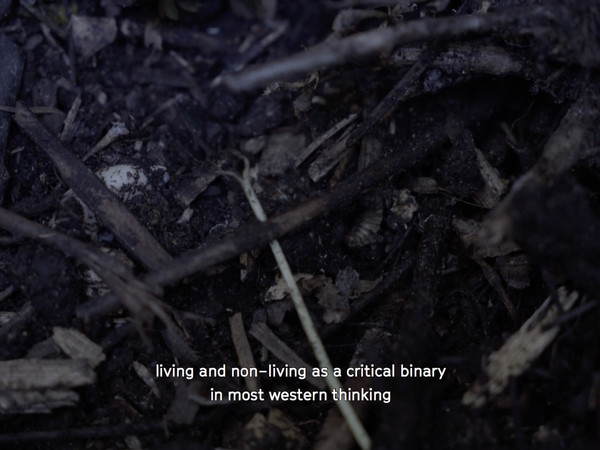 Holobiont Society, 2017, film still Holobiont Society, 2017, film still