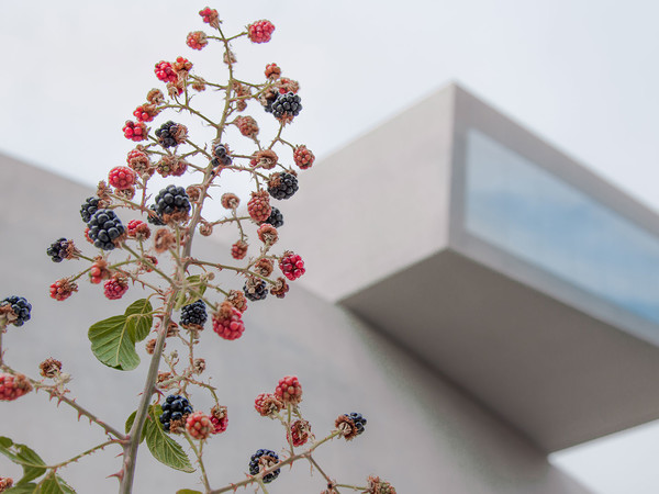  MAXXI Museo nazionale delle arti del XXI secolo, Roma I Ph. Manuela Cannone