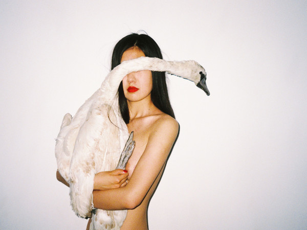 Ren Hang, Untitled, 2015