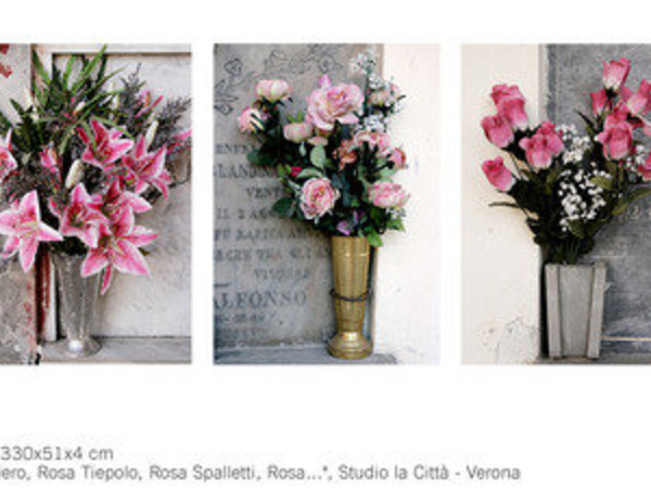 Rosa..., Studio La Citta', Verona