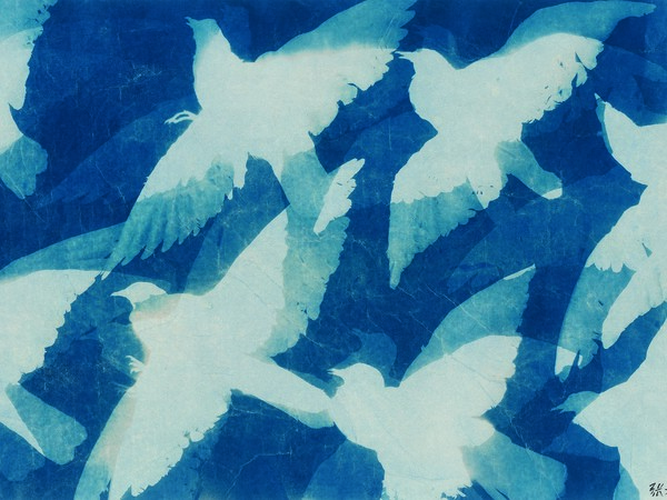 Zhang Dali, Pigeons Cyanotype on Cotton, 134.5X67 cm., 2014