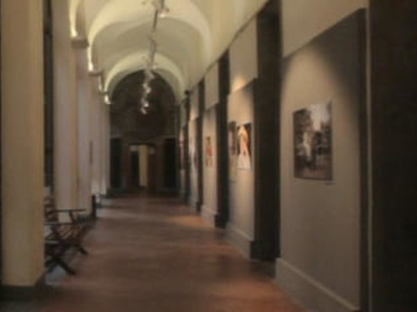 Born Invisible di Sheila McKinnon, Museo di Roma in Trastevere