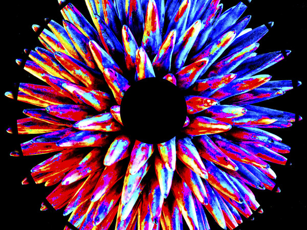 I colori del Bosone di Higgs. Percorsi tra Arte e Scienza
