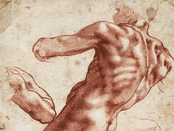 Michelangelo Buonarroti (1475 - 1564), Nudo maschile seduto e studio del braccio destro (recto), 1511, Gesso rosso, accentuato con bianco, Senza cornice 27.9 x 21.4 cm, Museo Teylers, Haarlem, Acquistato nel 1790 | Immagine © Museo Teylers, Haarlem