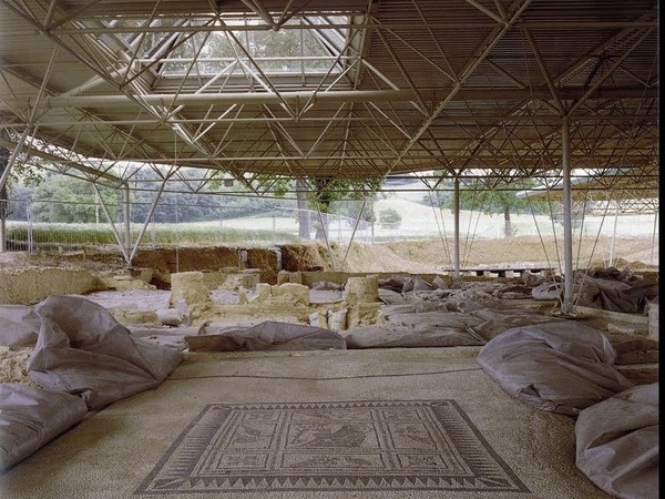 Domus dei Coiedii, Area archeologica romana di Suasa, Castelleone di Suasa