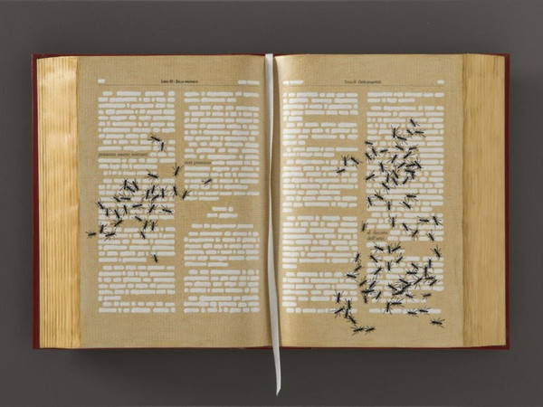 Emilio Isgrò, Codice del decoro, 2022, tecnica mista su tela stampata su libro e legno, 35x50,5x5 cm. Courtesy Archivio Emilio Isgrò