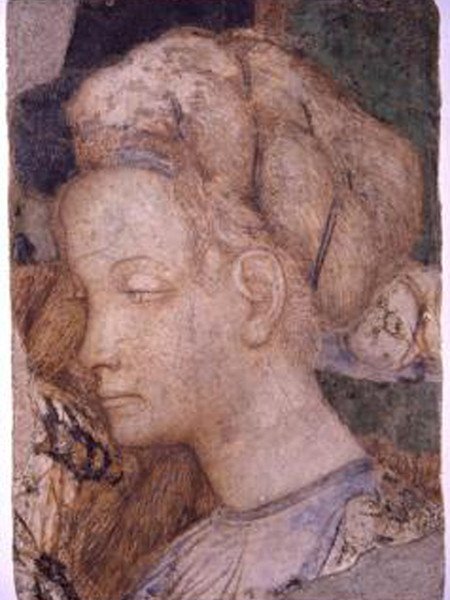 Head of Woman