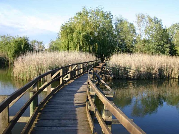 Foci dello Stella and Valle Canal Novo nature reserves