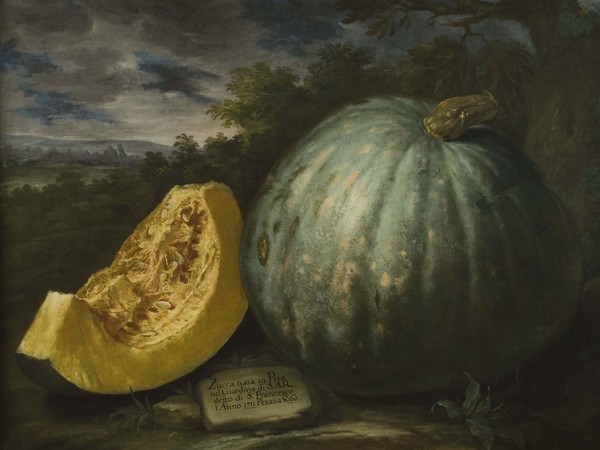 Bartolomeo Bimbi, Zucca del giardino graducale di San Francesco a Pisa, 1711, Olio sul tela | Courtesy Museo di Storia Naturale dell’Università degli studi di Firenze, Museo della natura morta nella Villa Medicea di Poggio a Caiano, 