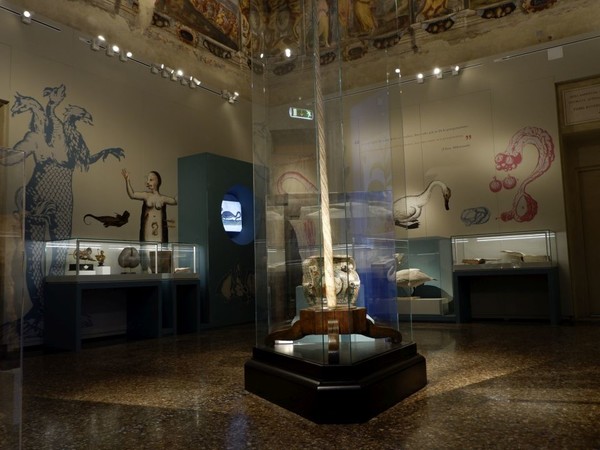 L'ALTRO RINASCIMENTO. Ulisse Aldrovandi e le meraviglie del mondo, Museo di Palazzo Poggi, Bologna