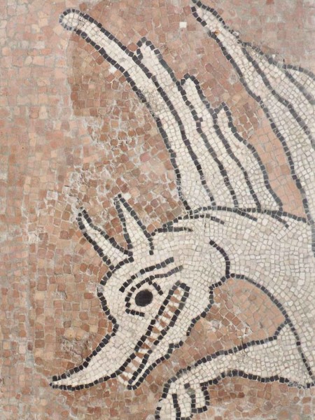 Reggio, mosaico, testa di mostro alato