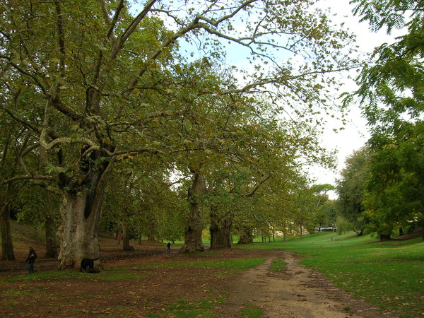 Villa Borghese